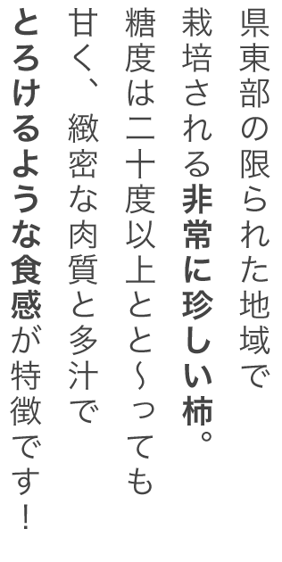 県東部の限られた地域で栽培される非常に珍しい柿。糖度は20度以上とと～っても甘く、緻密な肉質と多汁でとろけるような食感が特徴です！