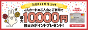 ＪＡカードのご入会とご利用で、ポイントプレゼント